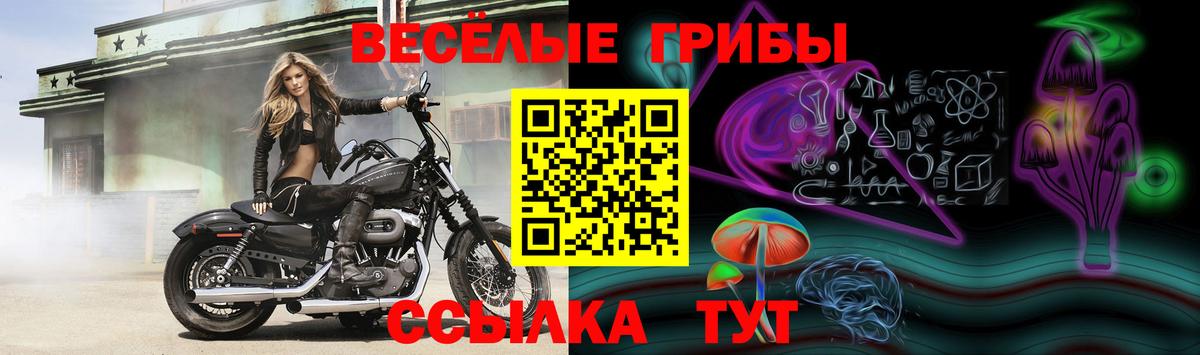 Галлюциногенные грибы GOLDEN TEACHER  Галлюциногенные грибы GOLDEN TEACHER  Бор  продажа наркотиков  Вход с VPN 